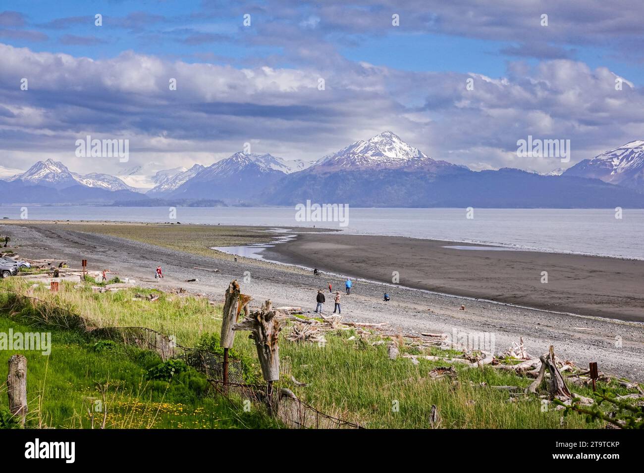 People explore the tidal zone along Beach at low tide with the