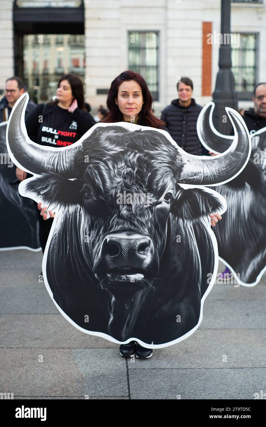 Several people show flags and banners with images of bulls, during a demonstration against bullfighting, at the Puerta del Sol, on 27 November, 2023 i Stock Photo