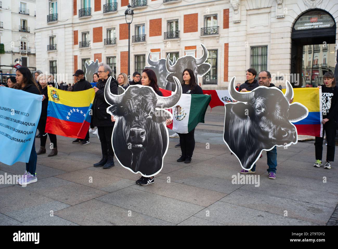 Madrid, Spain. 27th Nov, 2023. Several people show flags and banners with images of bulls, during a demonstration against bullfighting, at the Puerta del Sol, on 27 November, 2023 in Madrid, Spain. (Photo by Oscar Gonzalez/Sipa USA) (Photo by Oscar Gonzalez/Sipa USA) Credit: Sipa USA/Alamy Live News Stock Photo