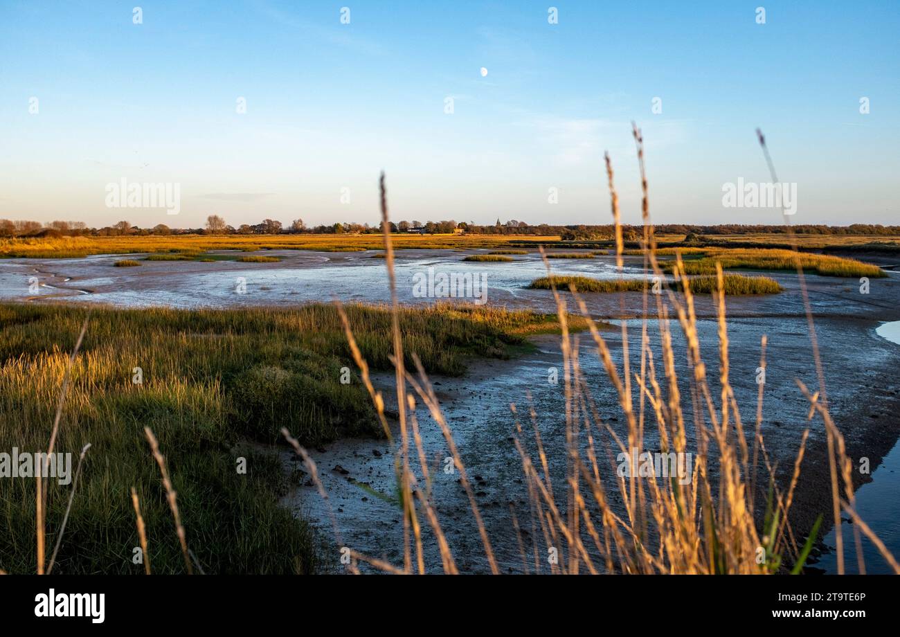 Pagham Harbour RSPB nature reserve at low tide on an Autumn afternoon , West Sussex , England UK Stock Photo