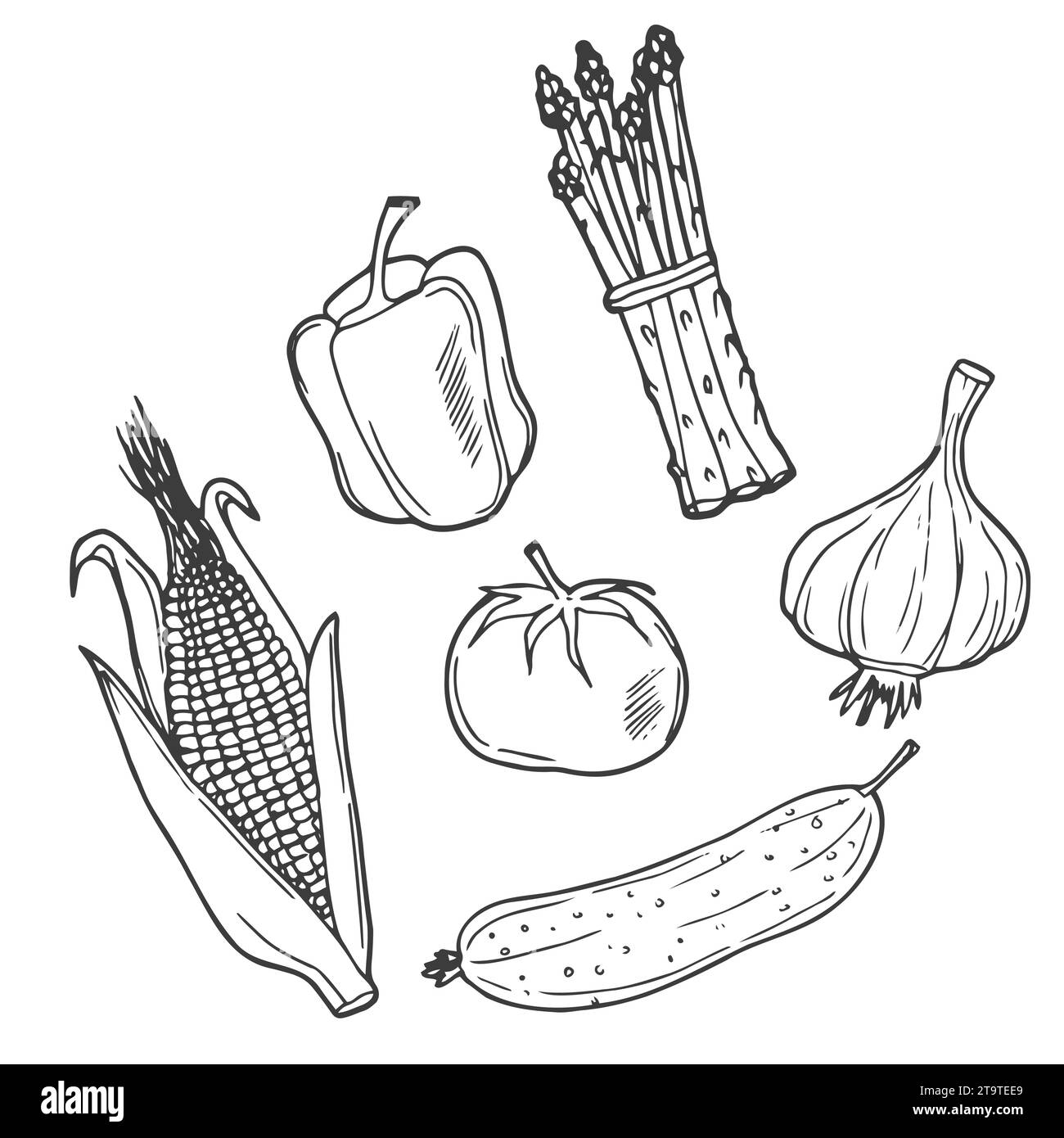Set of vector doodle images, vegetables illustration sketch Stock Vector