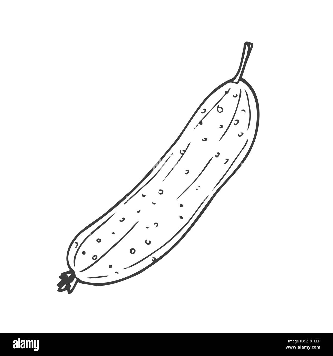 Black and white contour set with cucumbers. Monochrome outline of