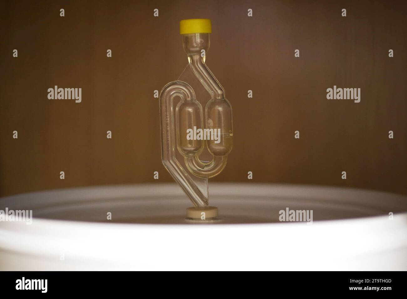 https://c8.alamy.com/comp/2T9THGD/a-general-view-of-the-fermentation-lock-2T9THGD.jpg