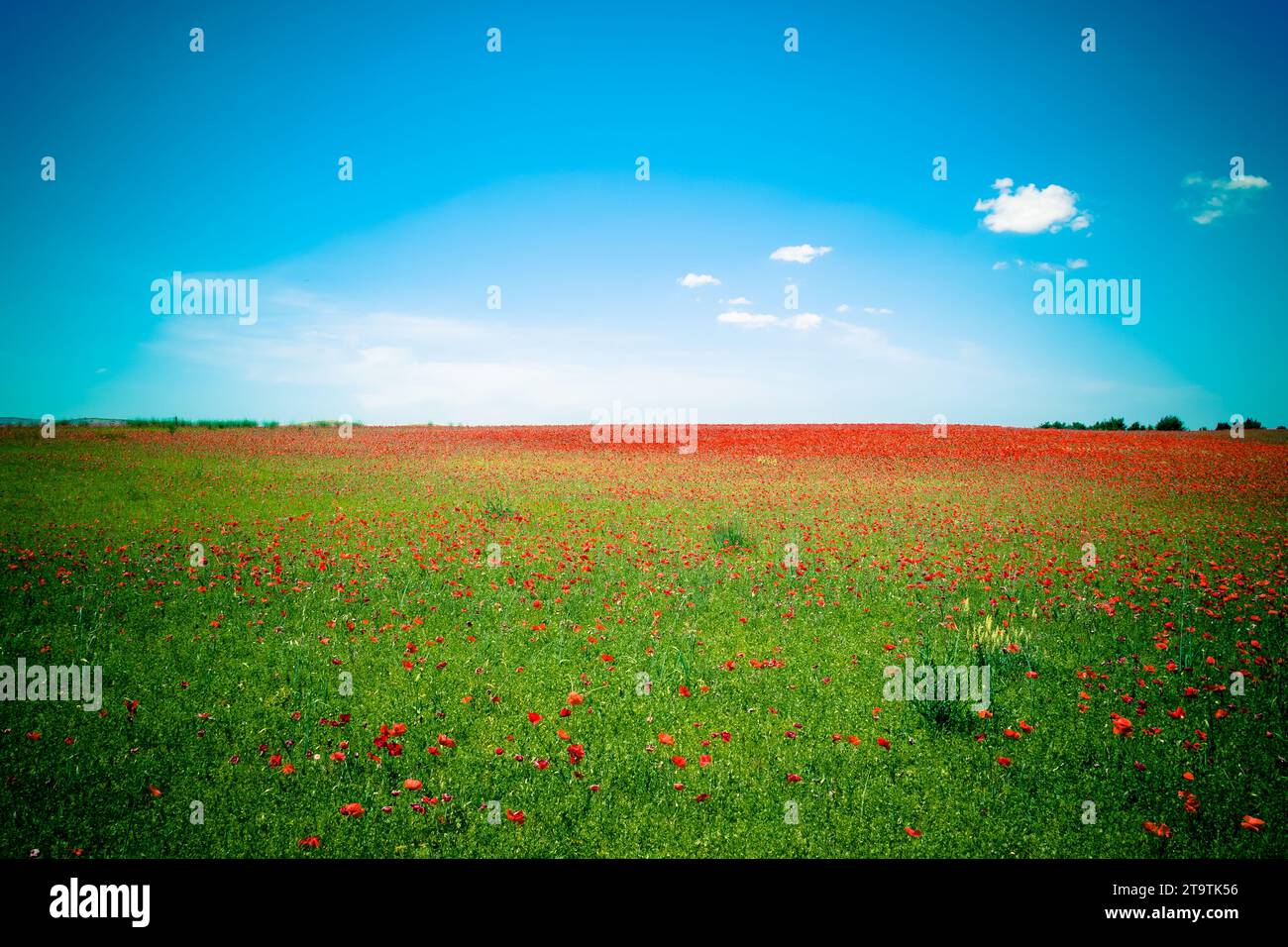 Blue garden clouds lawn hi-res stock photography and images - Alamy