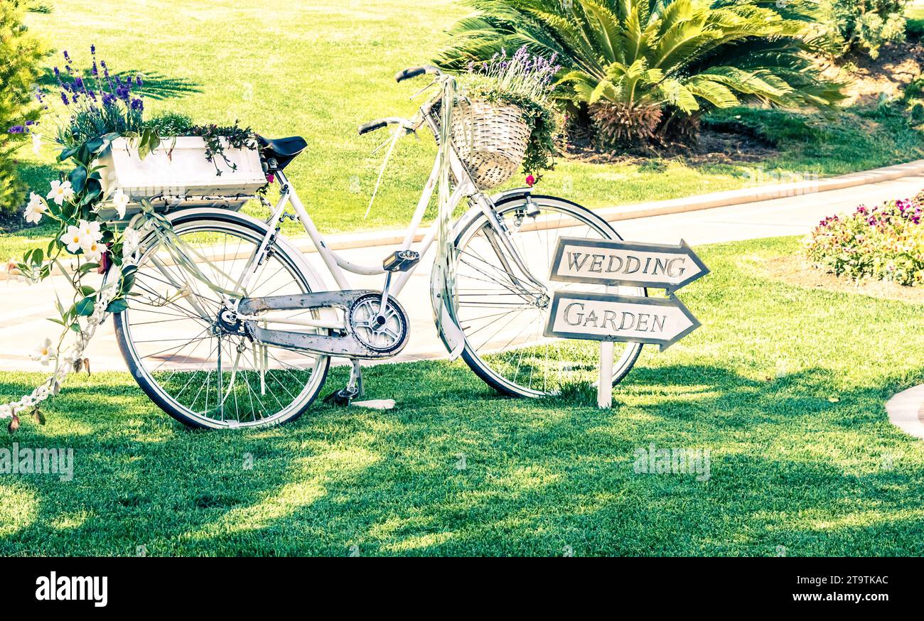 old white wedding bicycle on green garden near flowers, vintage style Stock Photo
