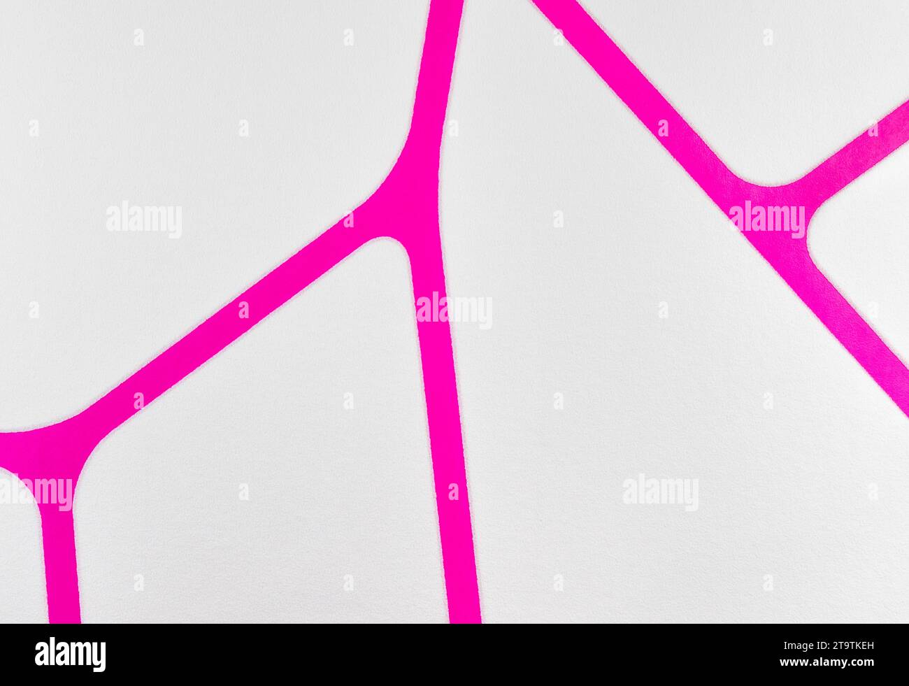 regular geometric fabric texture violet and white background, cloth pattern with lines Stock Photo