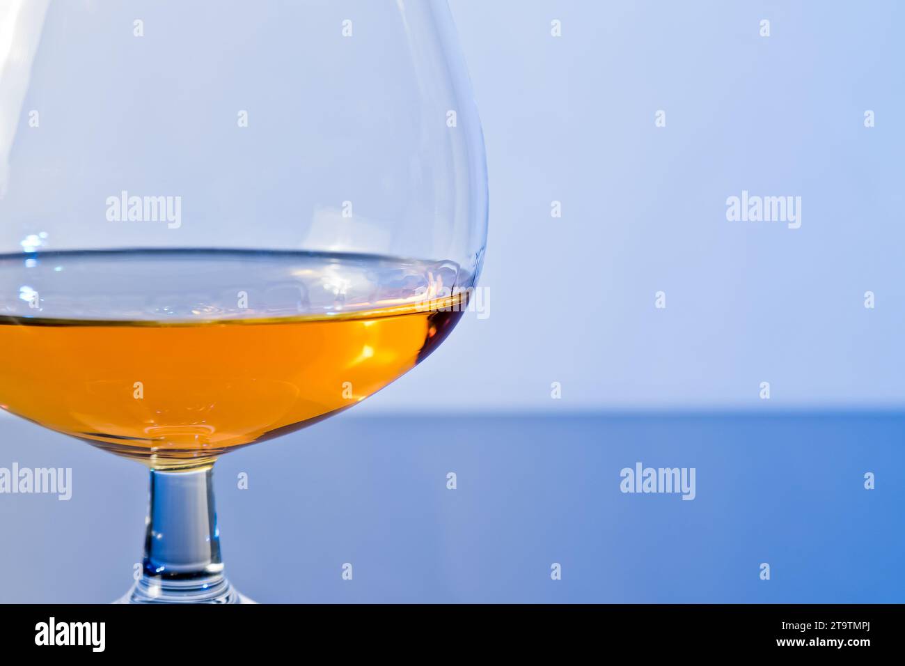 snifter of brandy in elegant typical cognac glass on blue light