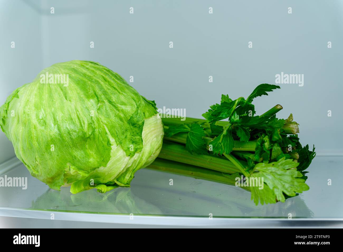 Fresh lettuce and celery in the refrigerator. Close-up. Stock Photo