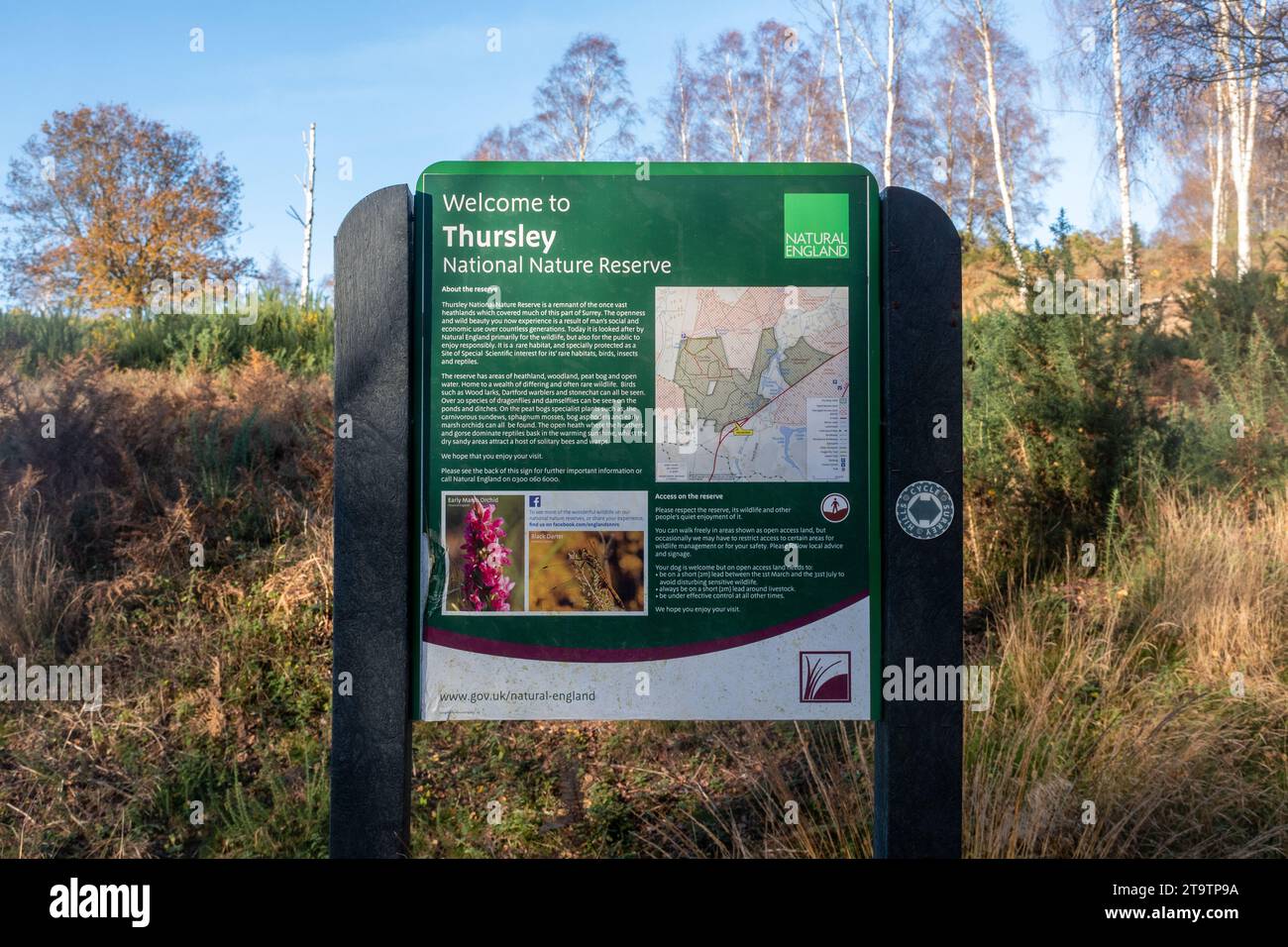 Information board at Thursley Common National Nature Reserve, Surrey, England, UK Stock Photo