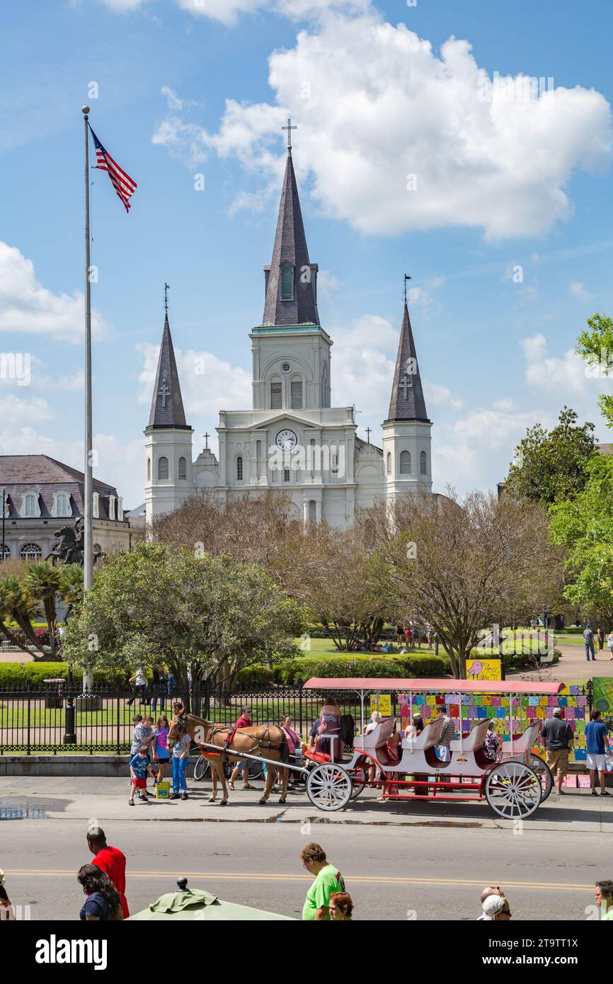 Horse and carriage vendors line up on Decatur Street in front of ...
