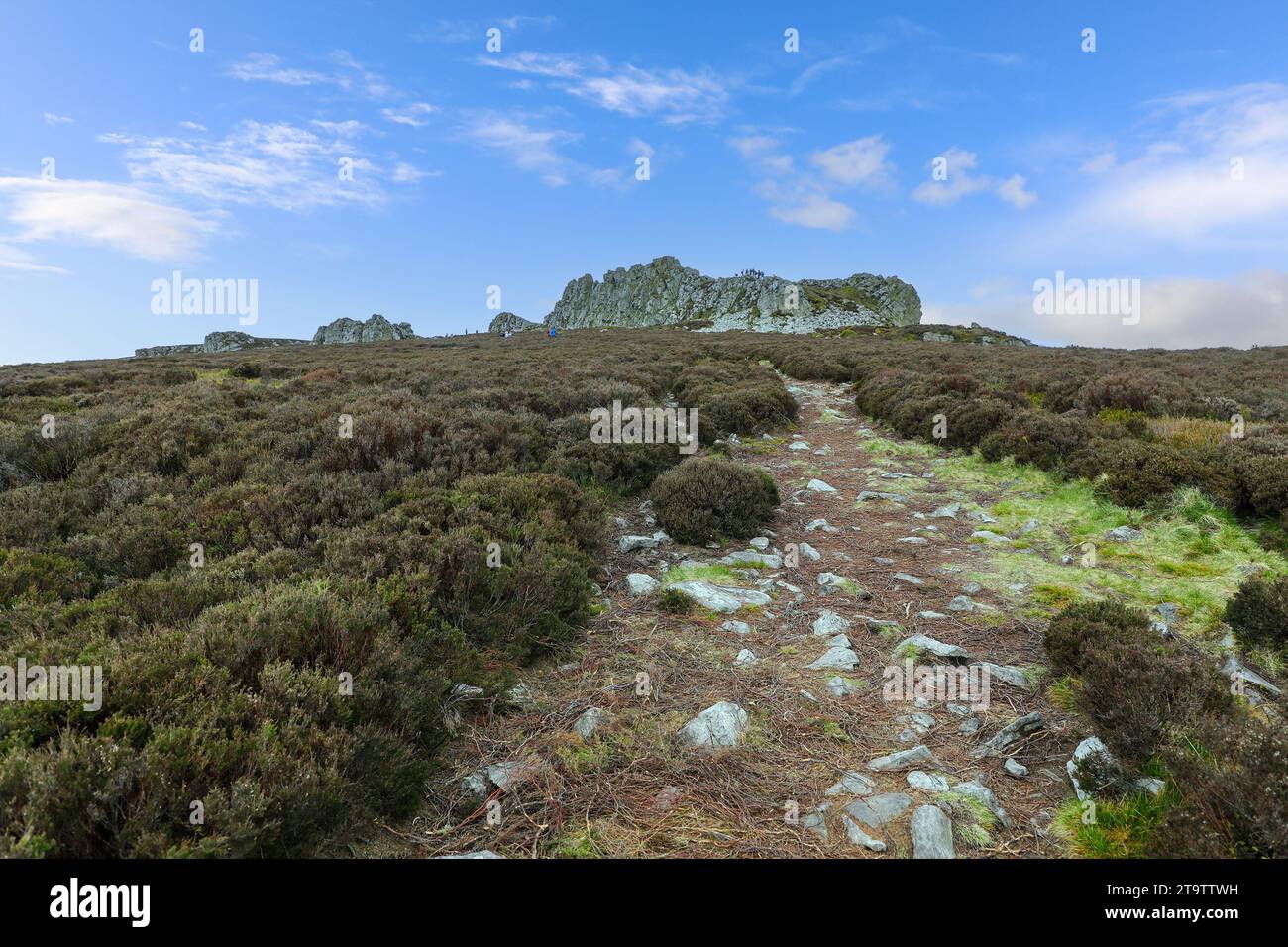 The Devil's Chair outcrop at Stiperstones hills, Shropshire, England, UK Stock Photo