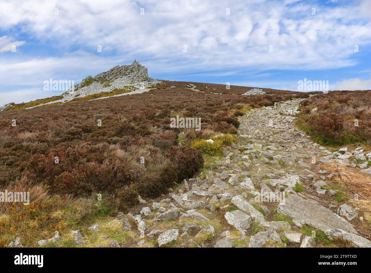 Manstone Rock at Stiperstones hills, Shropshire, England, UK Stock Photo