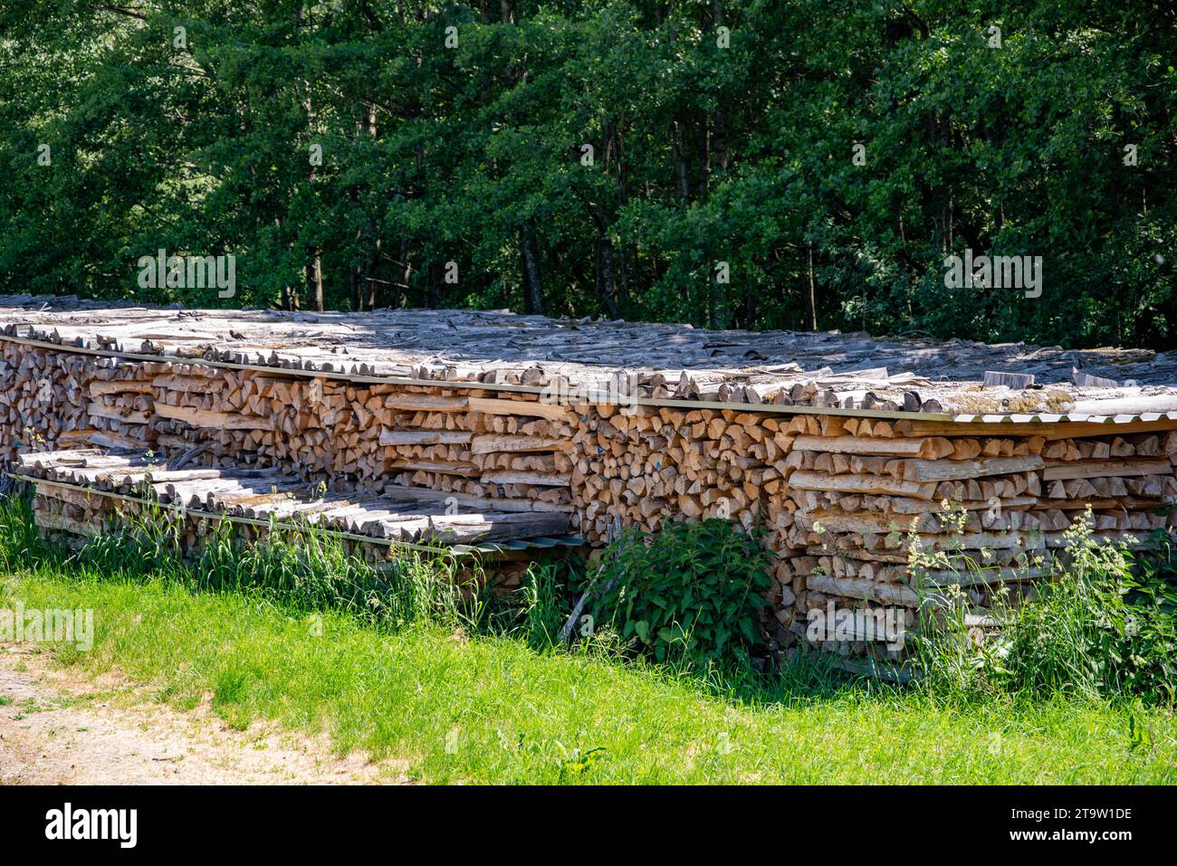 Wood drying on a pile of wood in the sun in early summer Stock Photo