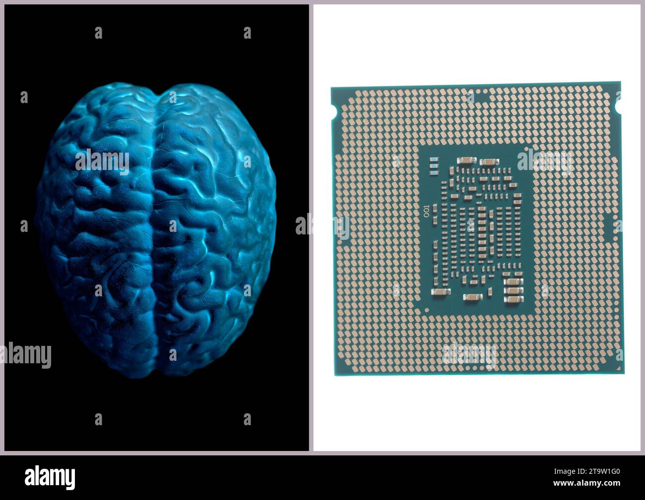 Human brain anatomical model with CPU processor microchip Stock Photo ...