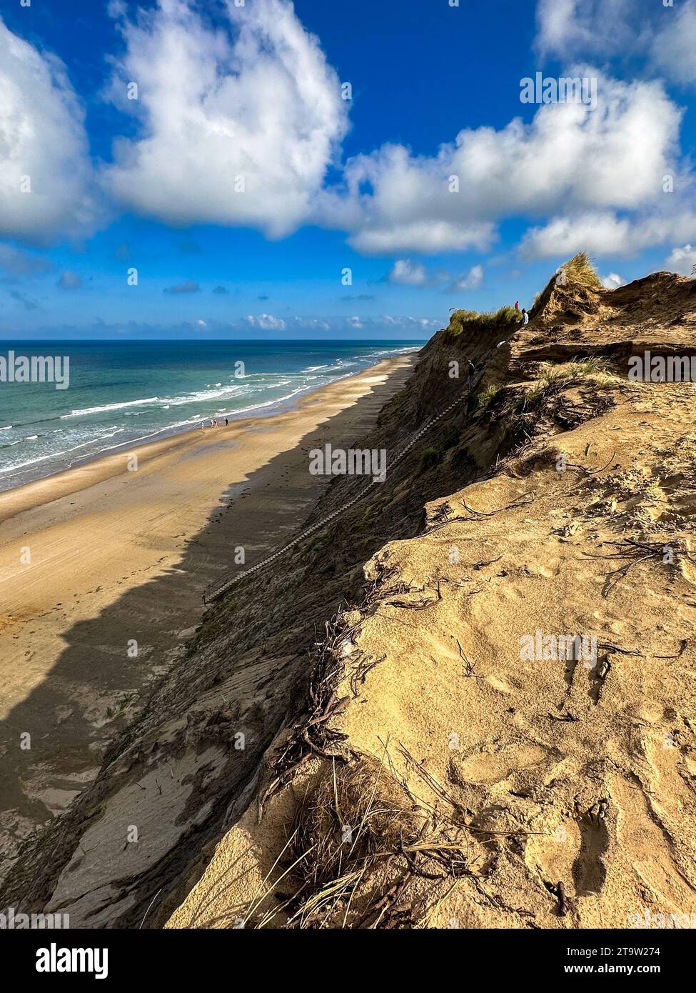 Cliff coast at Lyngby in Jutland, Denmark. Stock Photo