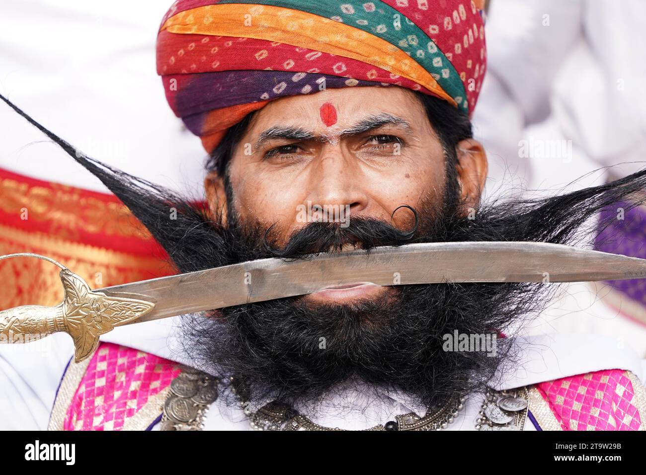 Pushkar, India. 27th Nov, 2023. Rajasthani Artist Performs During ...