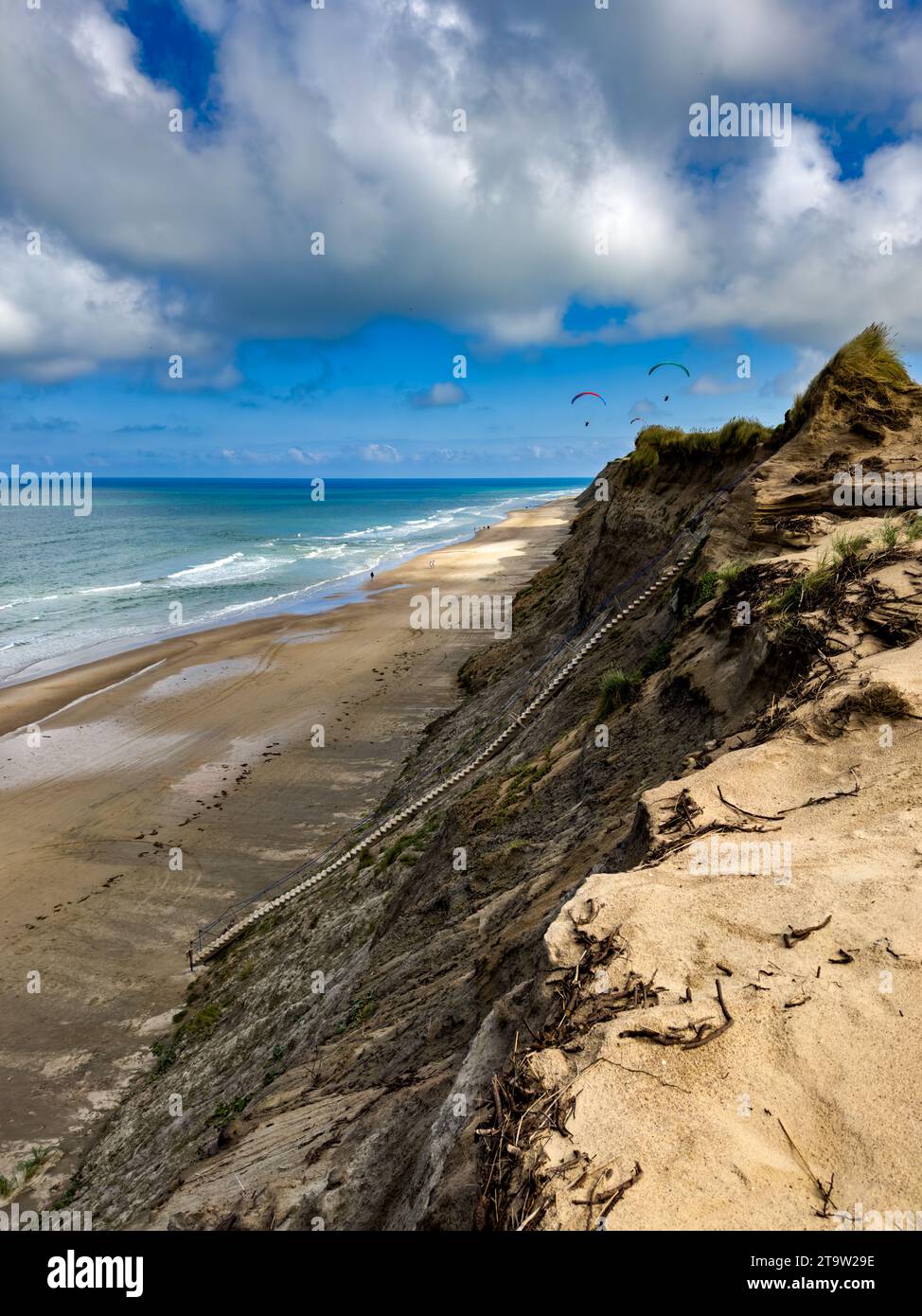 Paraglider in morning light over the cliff coast at Lyngby in Jutland, Denmark. Stock Photo
