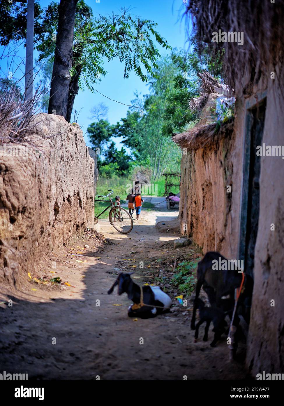 Corridor of mud houses in the village of Uttar Pradesh in India. Stock Photo