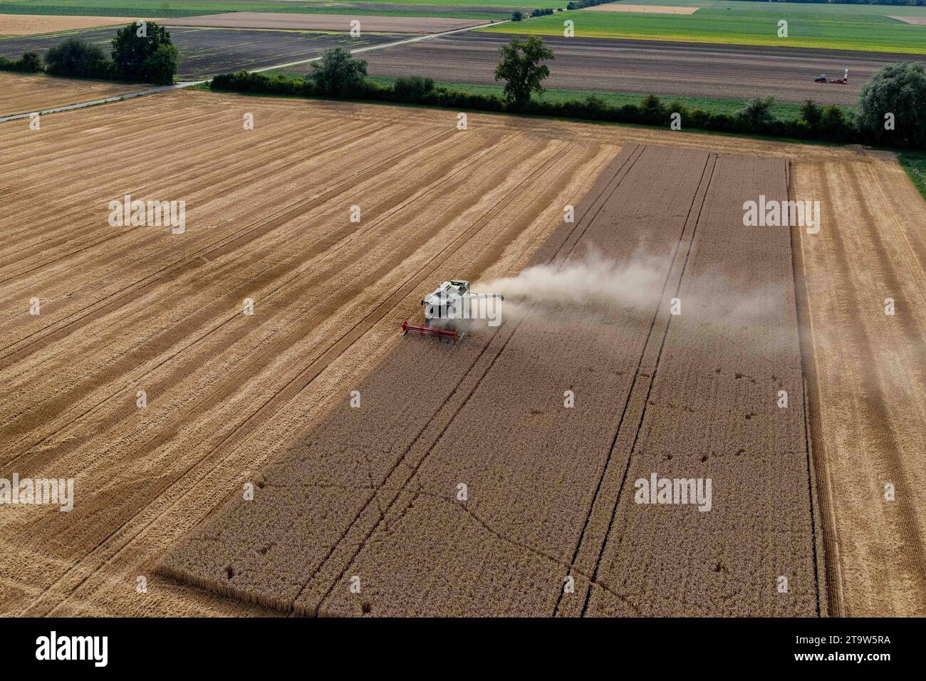Luftbild Bürstadt Bürstadt Riedrode Luftbild Getreideernte Wie läuft