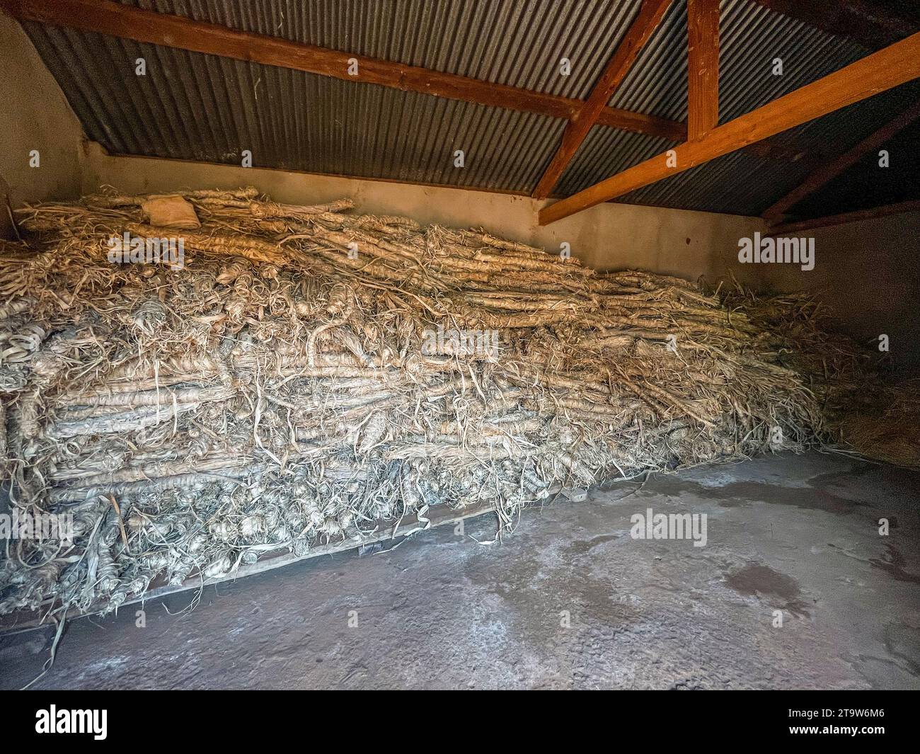 Madagascar, Ambalavao, Antemoro Paper factory Stock Photo - Alamy