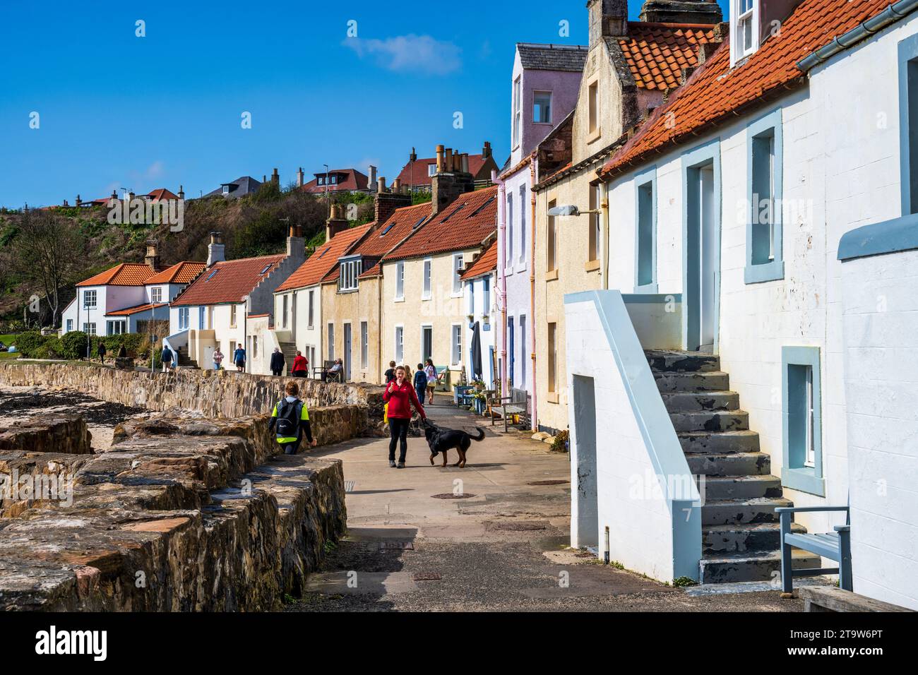 Colourful seafront houses on West Shore (part of the Fife Coastal Path