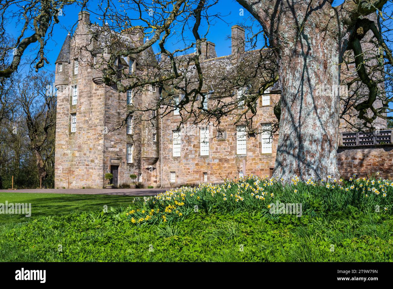 Daffodils in front of Kellie Castle located just outside the small