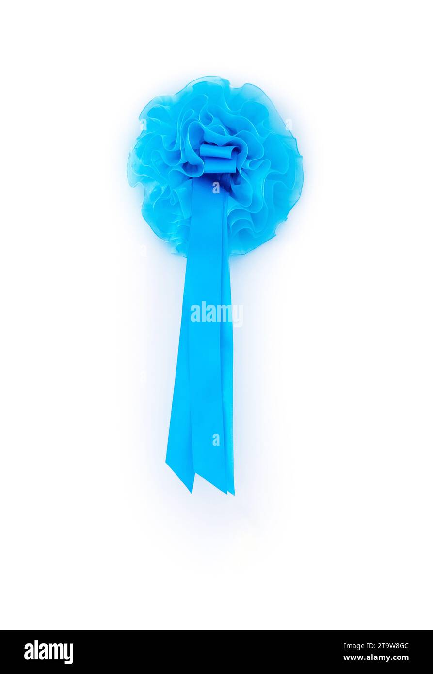 Blue Ribbons Hanging male newborn blue ribbon hanging on the house white door background ...