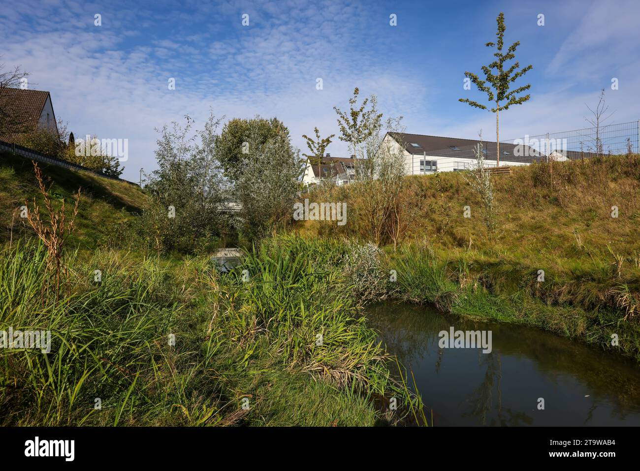 Recklinghausen, NordrheinWestfalen, Deutschland Renaturierter