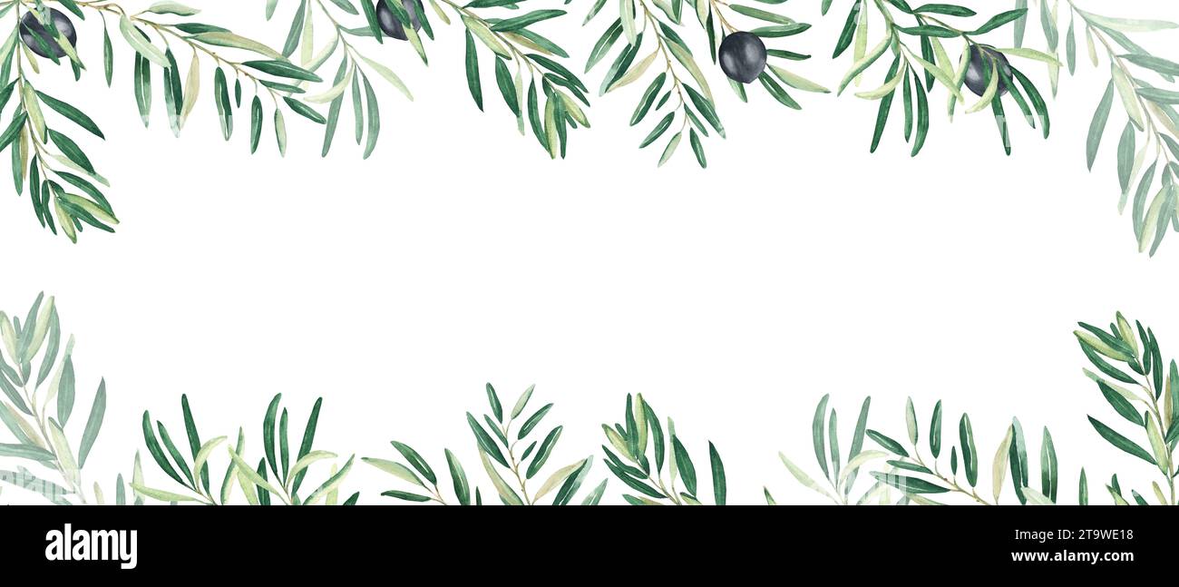 Horizontal frame, border with olive branches and ripe fruits ...