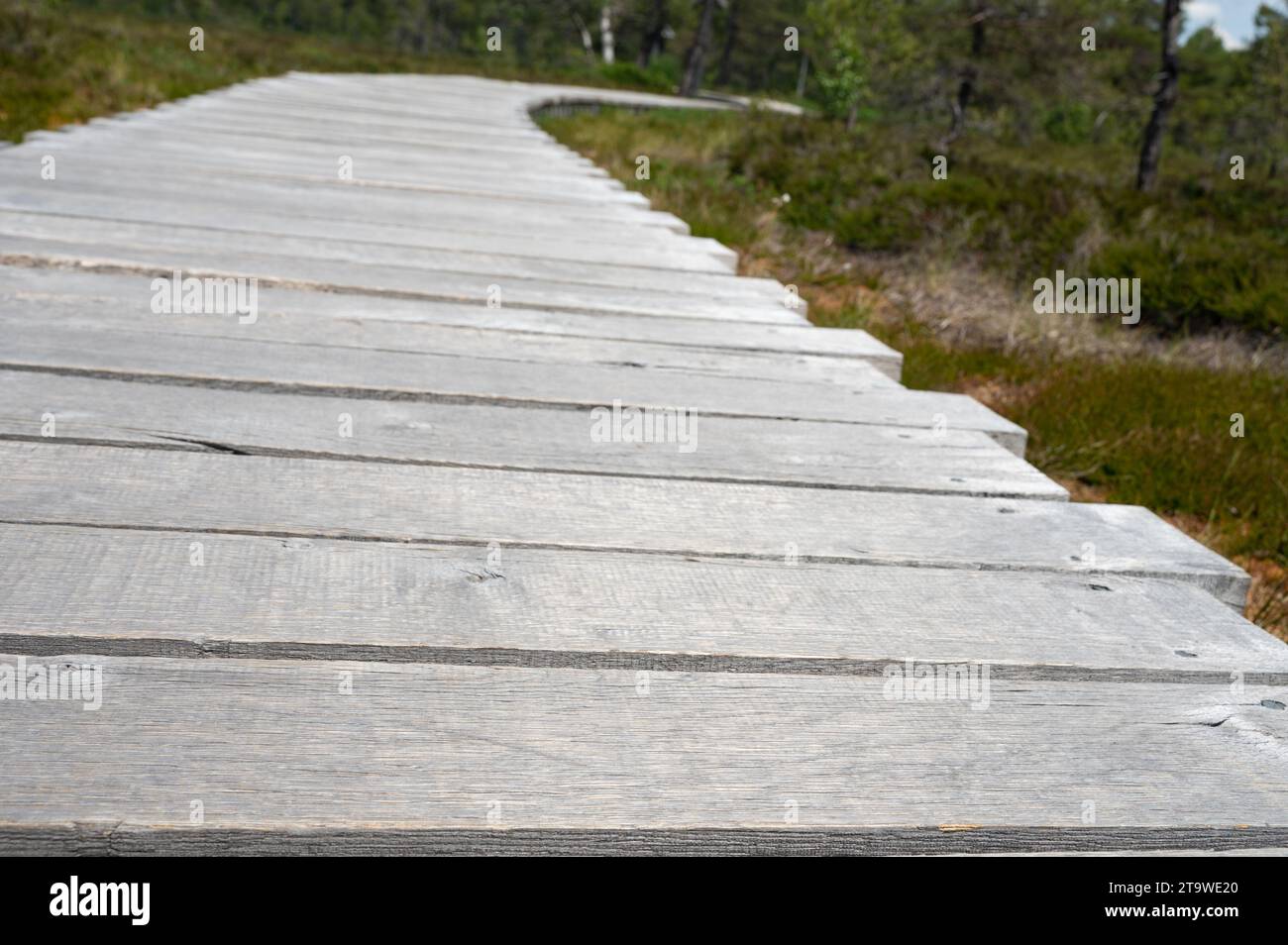 Black moor with a new wooden path in the Rhoen, Bavaria, Germany Stock Photo