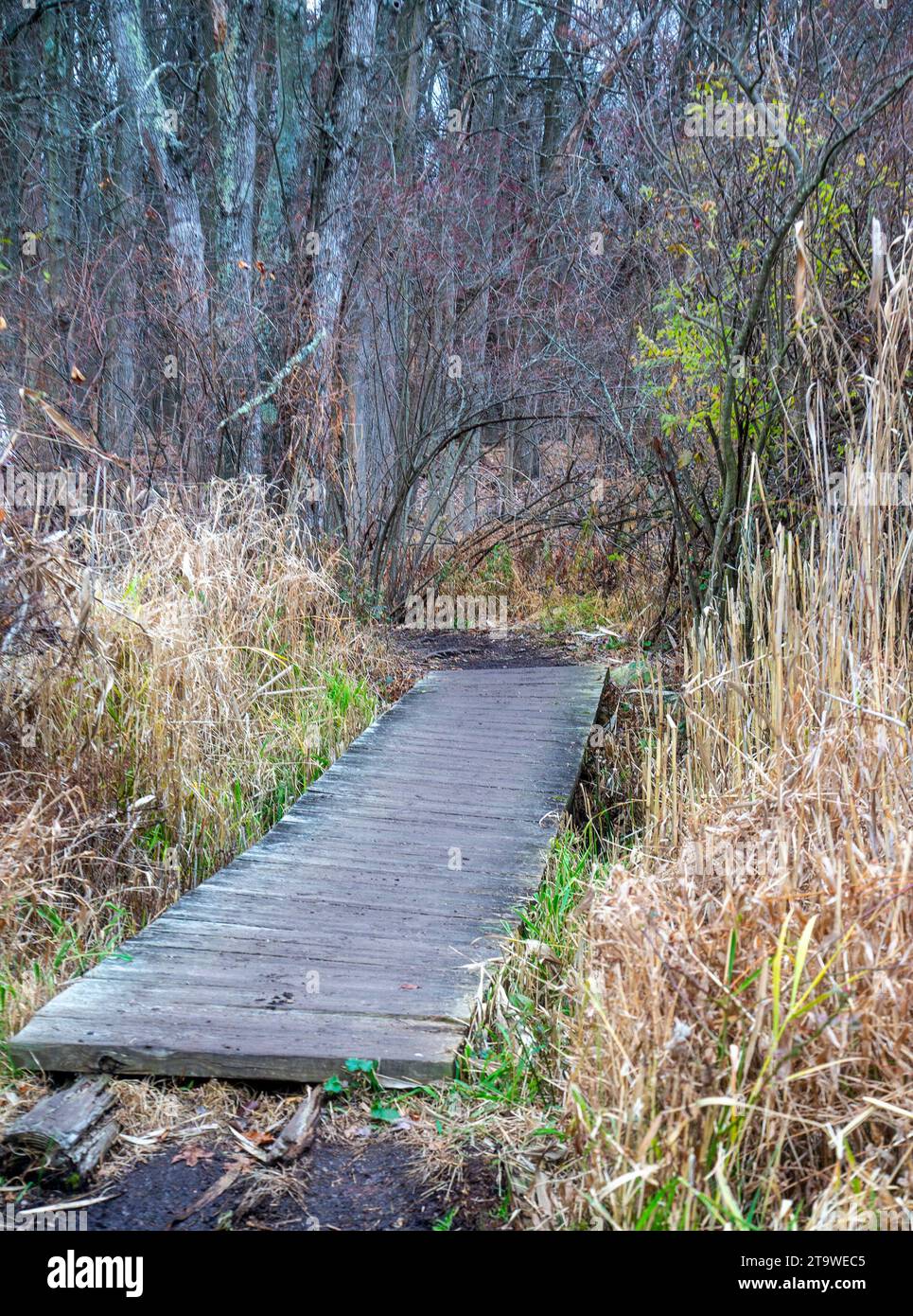 Hiking bridge hi-res stock photography and images - Alamy