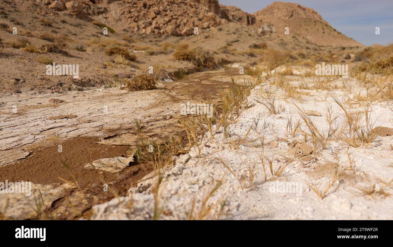 Picture of Dry Creek Bed Stock Photo - Alamy