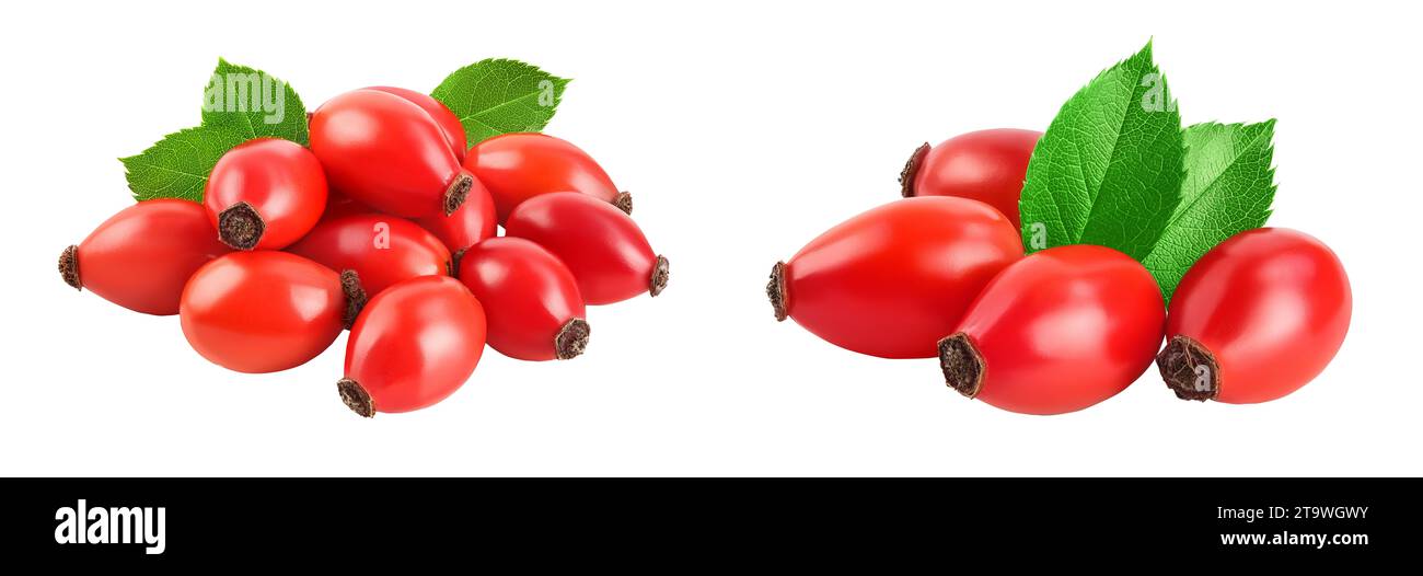 Rose hip isolated on a white background with full depth of field Stock ...