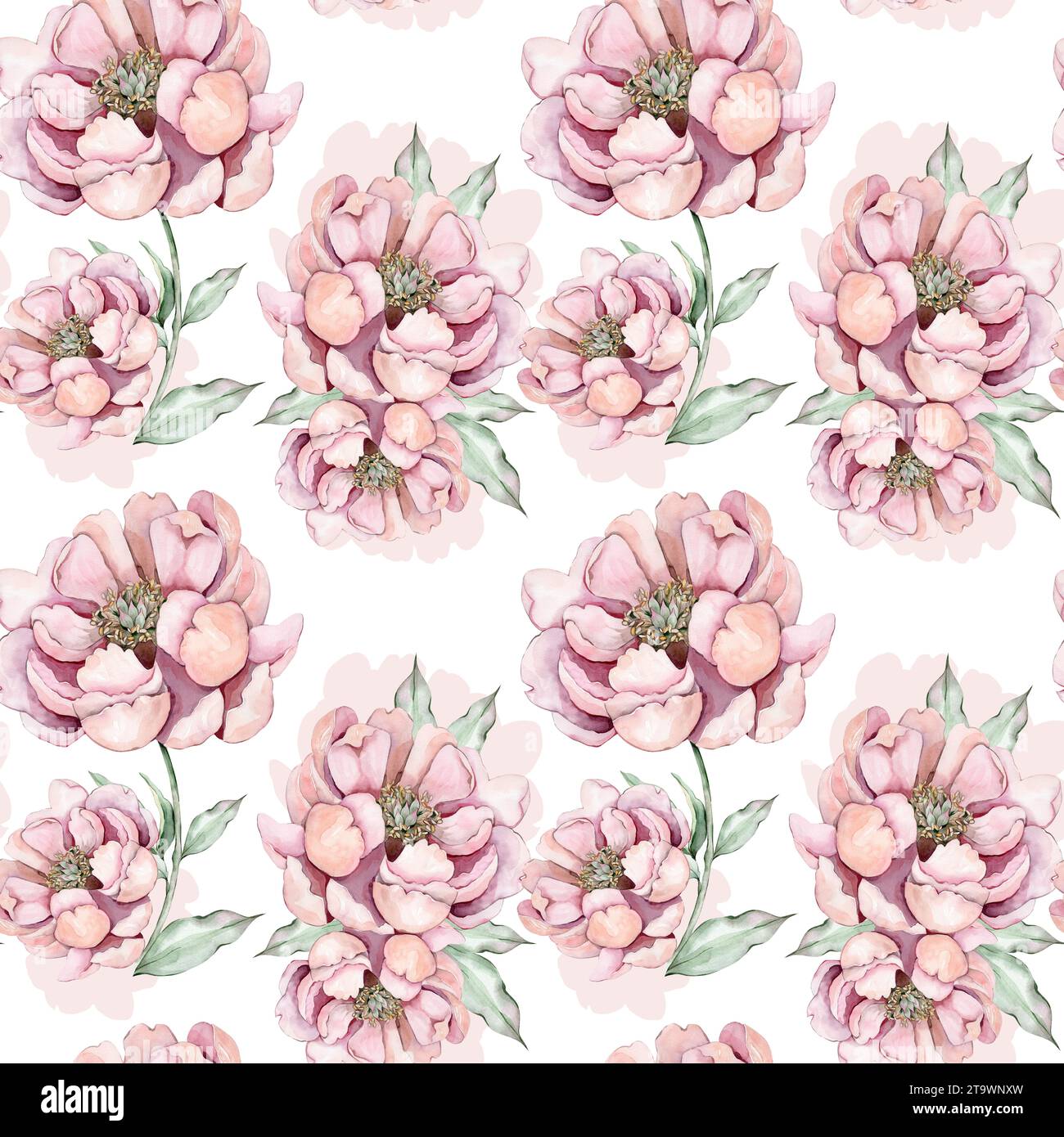 Seamless pattern with watercolor pink peonies Stock Photo - Alamy
