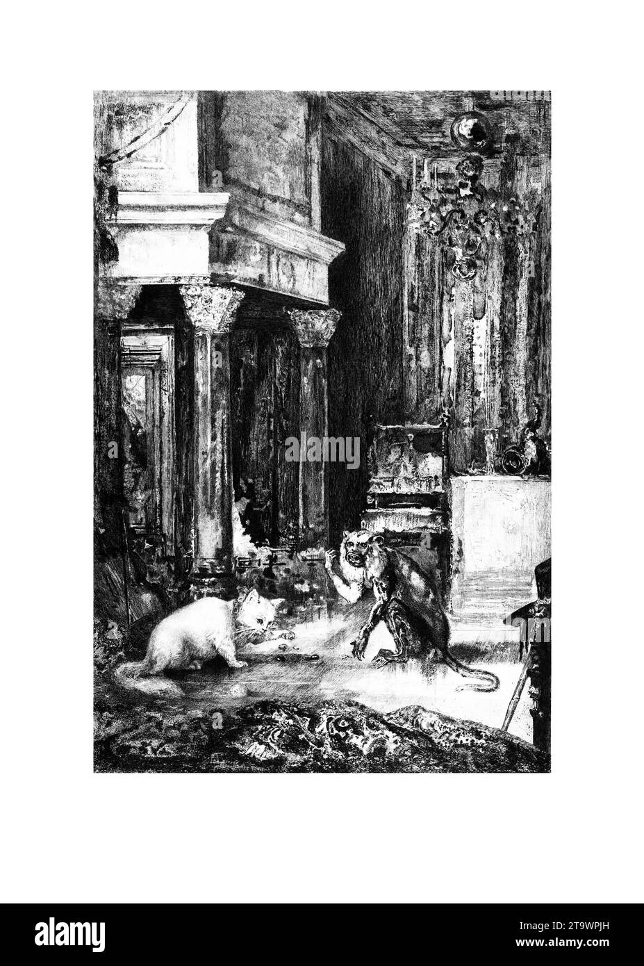 Le Singe et le chat. Fйlix Bracquemond (French, Paris 1833-1914 Sиvres) After Gustave Moreau (French, Paris 1826-1898 Paris) Date: 1886. Etching; fift Stock Photo