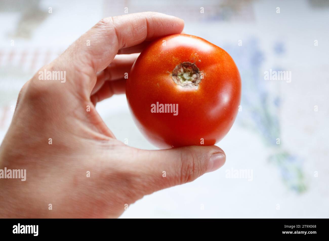 Woman hand is holding red tomato Stock Photo - Alamy