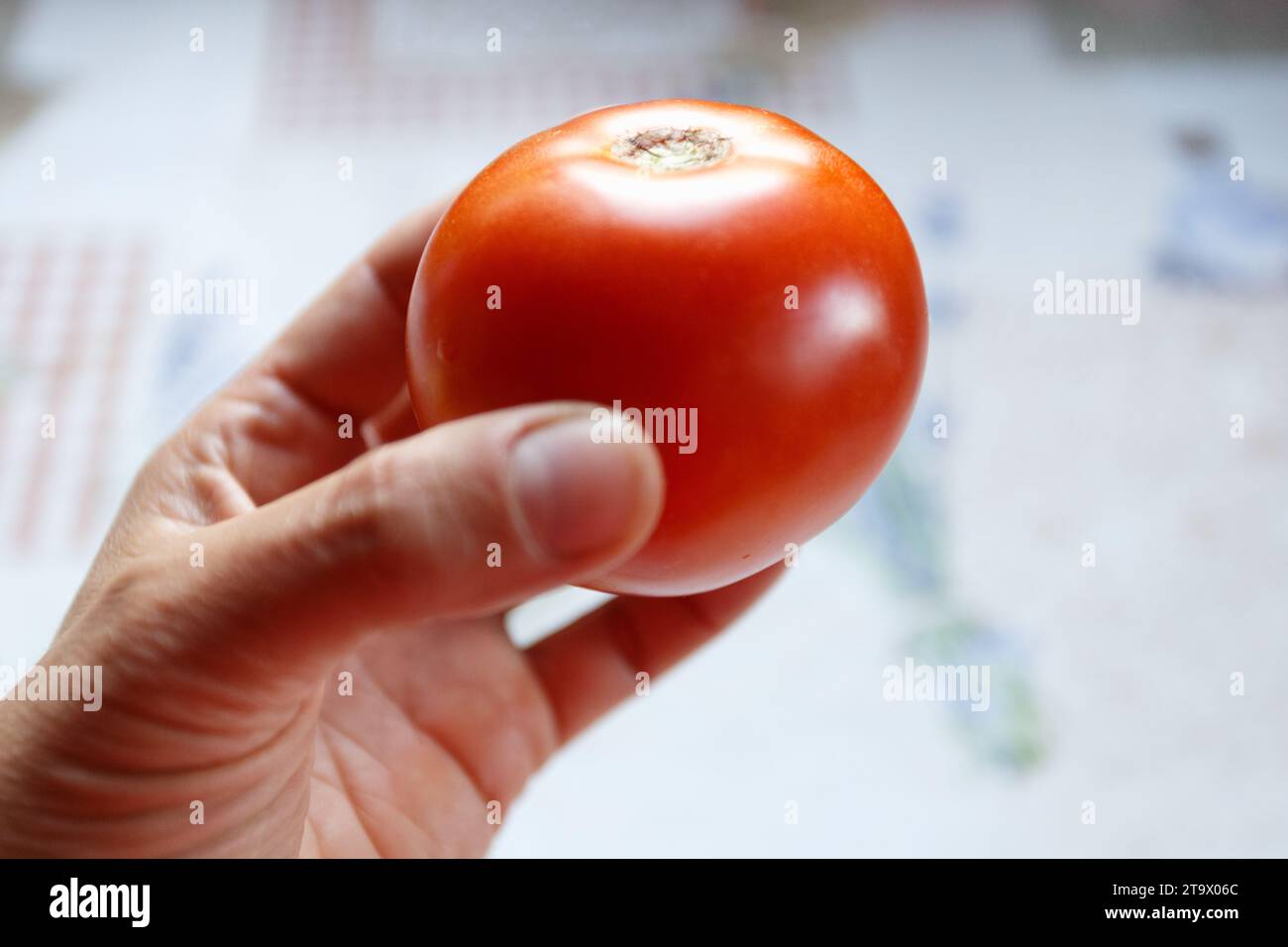 Woman hand is holding red tomato Stock Photo - Alamy