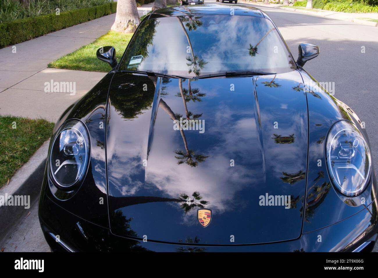 Palm trees reflecting on a Porsche. Beverly Hills, Los Angeles, California, United States of America Stock Photo