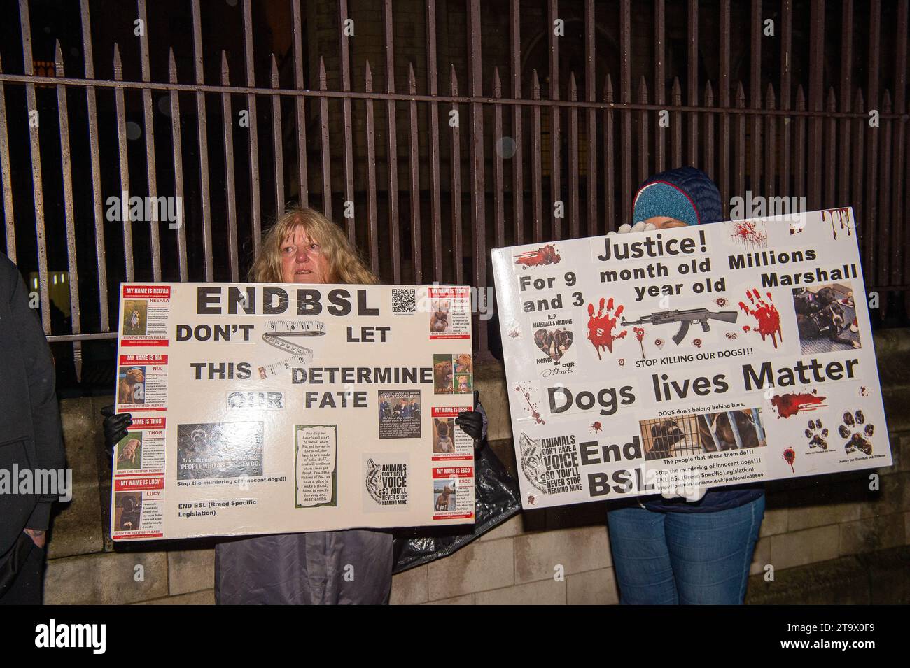 London, UK. 27th November, 2023. Protesters were outside Parliament tonight as a debate was taking place in Parliament following a petition signed by 606,608 people calling on the Government not to ban the XL Bully. From 1 February 2024 it will be a criminal offence to own an XL Bully in England and Wales unless the owner has a Certificate of Exemption for the dog. This new law has been implemented by the Government following a number of people being killed or badly injured by attacks from XL Bully Dogs. It has been reported that at least 246 XL Bully dogs will be euthanised when the ban comes Stock Photo