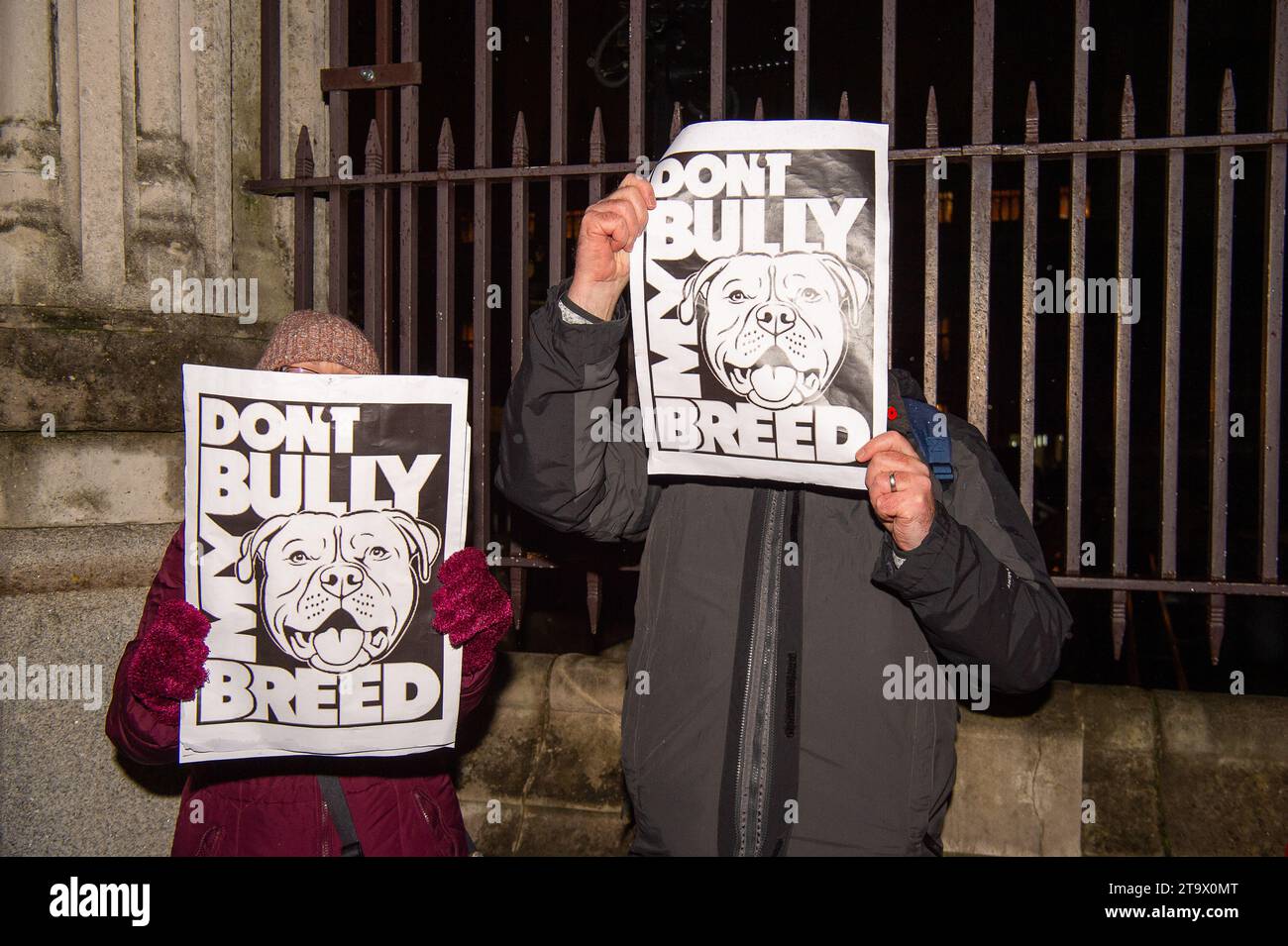 London, UK. 27th November, 2023. Protesters were outside Parliament tonight as a debate was taking place in Parliament following a petition signed by 606,608 people calling on the Government not to ban the XL Bully. From 1 February 2024 it will be a criminal offence to own an XL Bully in England and Wales unless the owner has a Certificate of Exemption for the dog. This new law has been implemented by the Government following a number of people being killed or badly injured by attacks from XL Bully Dogs. It has been reported that at least 246 XL Bully dogs will be euthanised when the ban comes Stock Photo