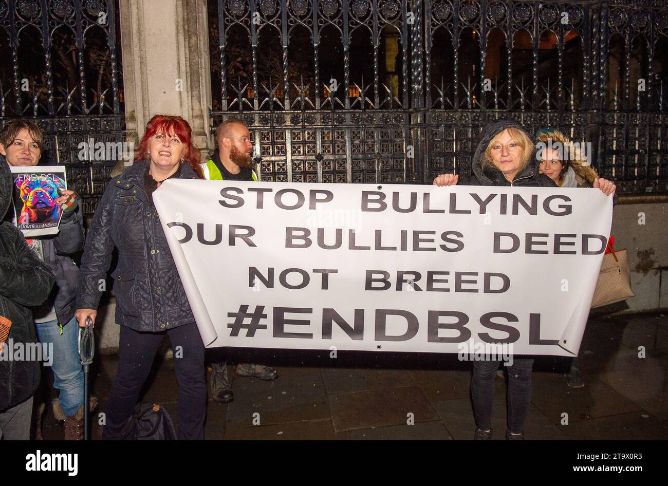 London, UK. 27th November, 2023. Protesters were outside Parliament tonight as a debate was taking place in Parliament following a petition signed by 606,608 people calling on the Government not to ban the XL Bully. From 1 February 2024 it will be a criminal offence to own an XL Bully in England and Wales unless the owner has a Certificate of Exemption for the dog. This new law has been implemented by the Government following a number of people being killed or badly injured by attacks from XL Bully Dogs. It has been reported that at least 246 XL Bully dogs will be euthanised when the ban comes Stock Photo