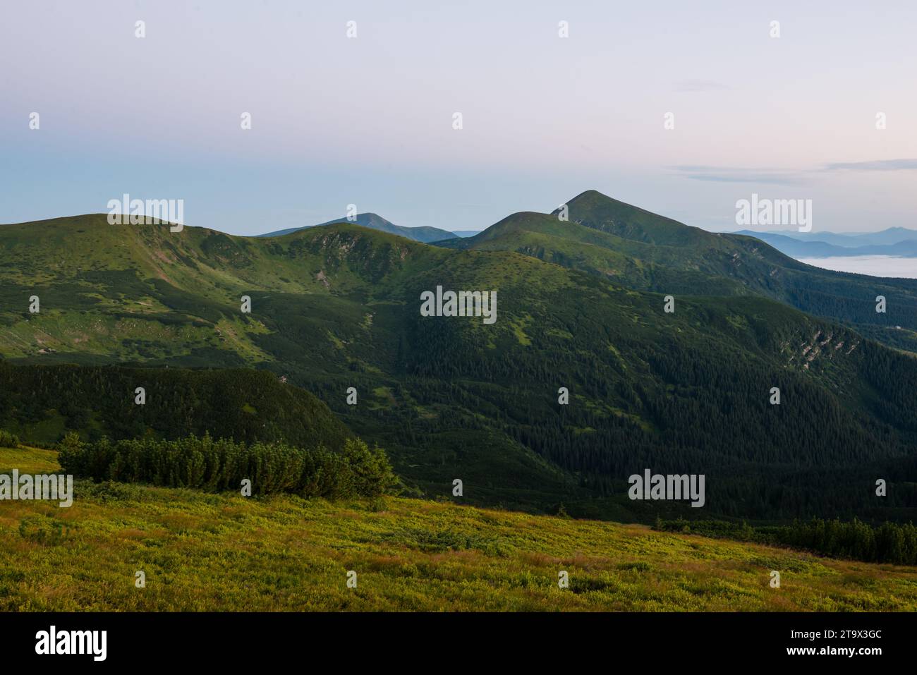 Summer on Chornohora mountain ridge in Carpathian mountains, Ukraine Stock Photo