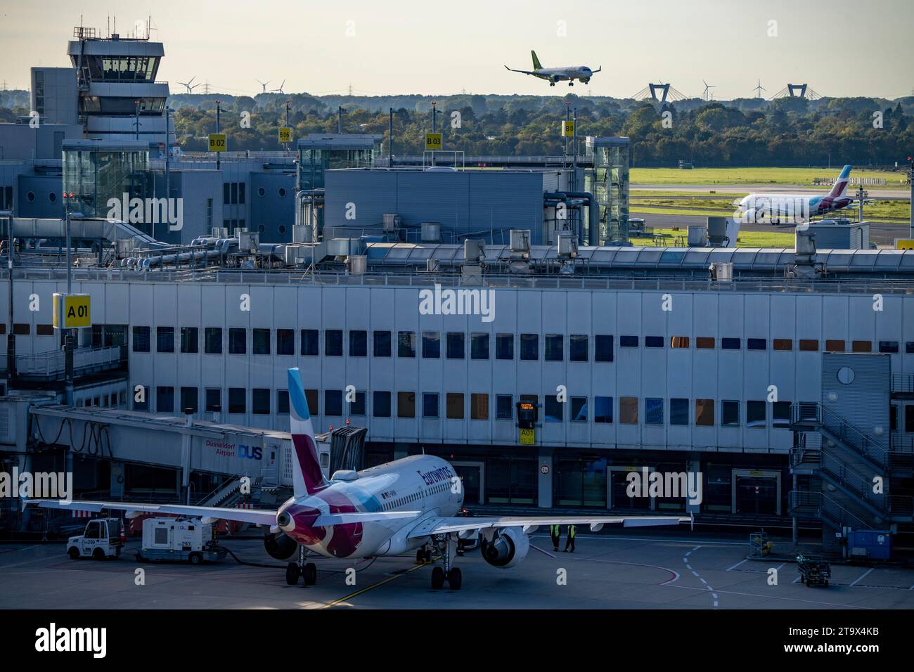 Düsseldorf Airport, Eurowings aircraft on approach and on the taxiway and at Terminal A, Stock Photo