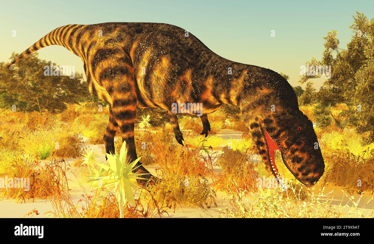 Abelisaurus was a theropod dinosaur that lived in Argentina during the Cretaceous Period. Stock Photo