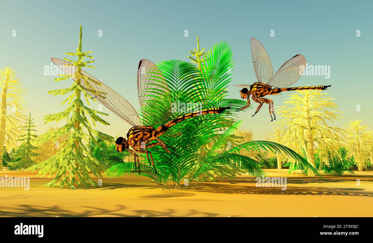 Meganeura Insects were very large predators during the Carboniferous Period of France and England. Stock Photo