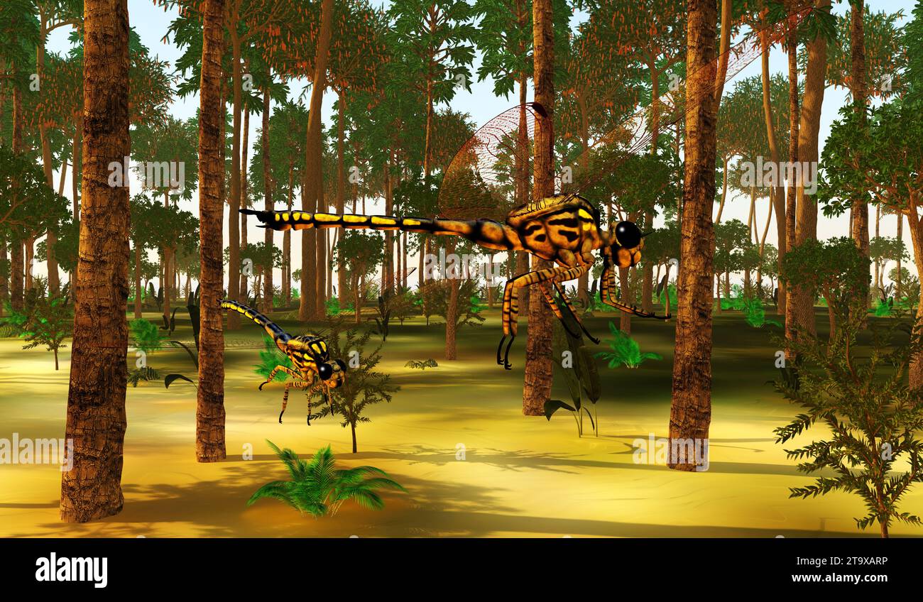 Meganeura was an very large insect that lived in England and France during the Carboniferous Period. Stock Photo