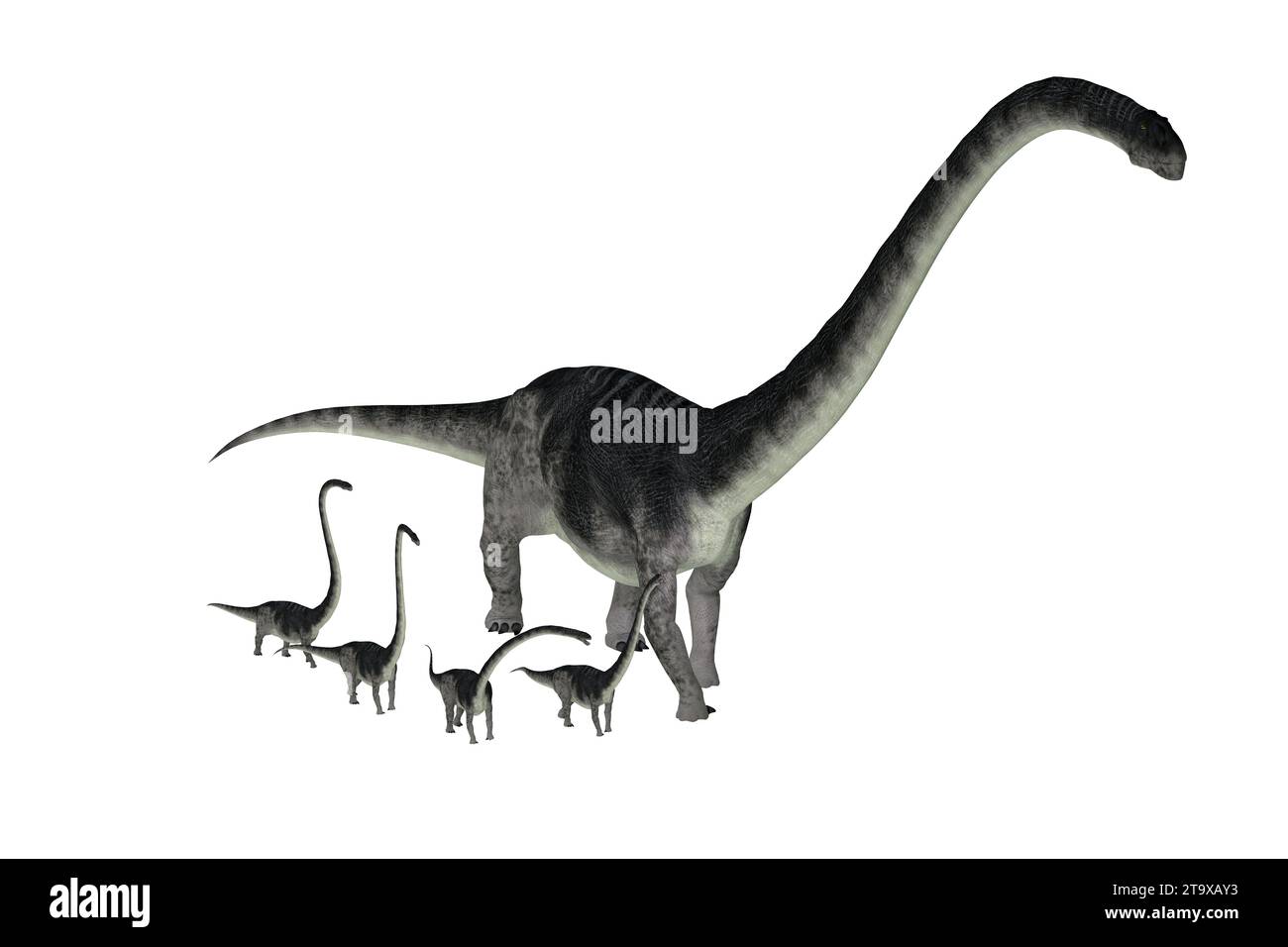 Omeisaurus was a herbivorous sauropod dinosaur that lived in China during the Jurassic Period. Stock Photo