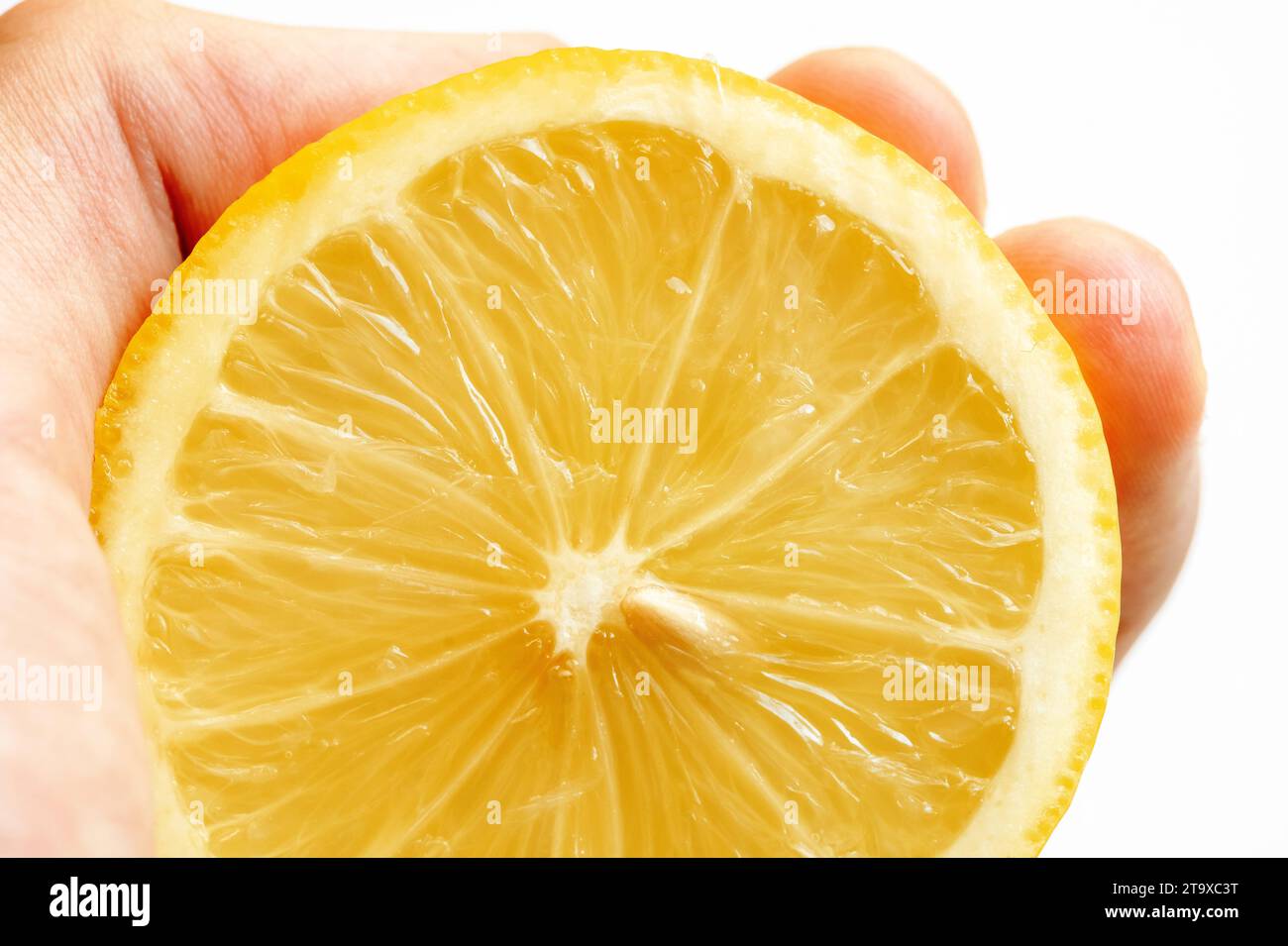 Man holding squeezing a fresh juicy lemon citrus fruit cut in half, round split organic natural yellow lemon half held in hand extreme closeup macro d Stock Photo