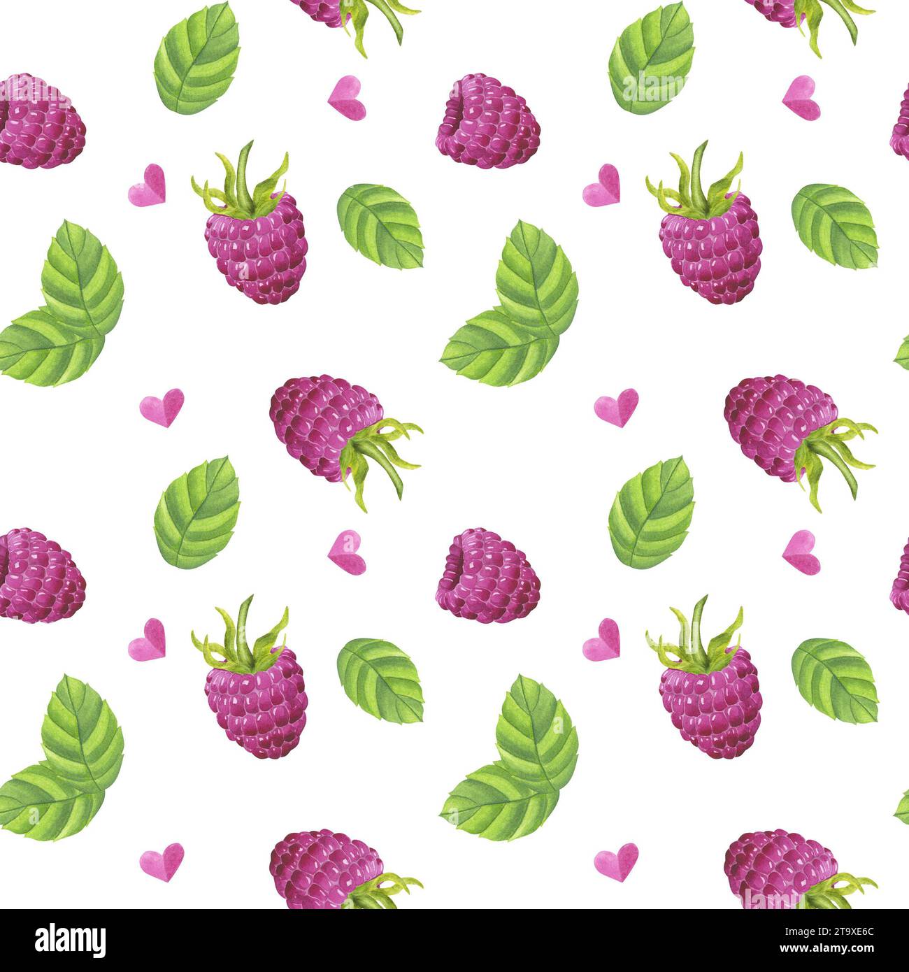 Purple Raspberry Watercolor Raspberry Clipart Watercolor