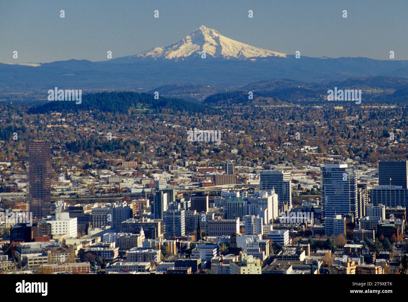 Downtown view with Mt Hood from Pittock Mansion, Portland, Oregon Stock